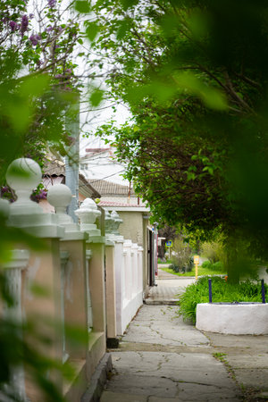 urban sidewalk along residential buildings, spring awakening of treesの写真素材