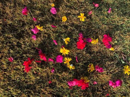 red, pink and yellow flowers are scattered on the grass, a beautiful panel of flowers and grass