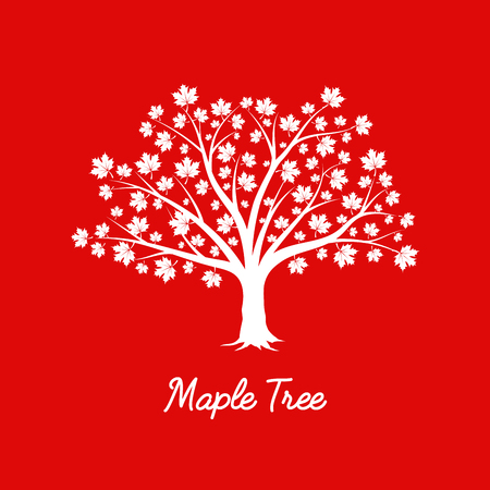 Beautiful white maple tree silhouette on red background. Infographic modern vector sign. Premium quality illustration logo design concept.のイラスト素材