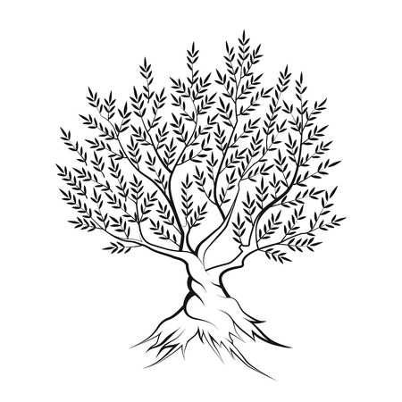 Olive tree outline silhouette icon isolated on white background.のイラスト素材