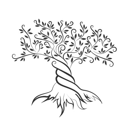 Olive tree outline curl silhouette icon isolated on white background.のイラスト素材