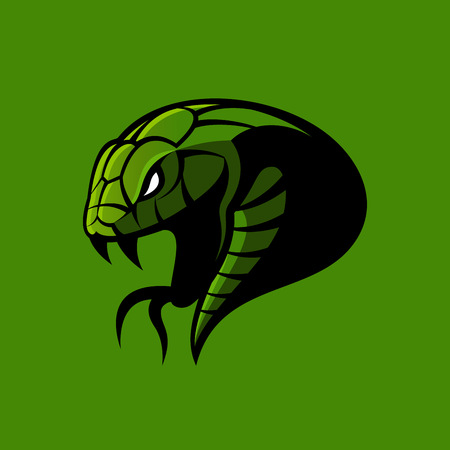 Furious green snake sport vector logo concept isolated on green background.のイラスト素材