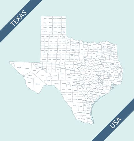 County map of Texas USAのイラスト素材