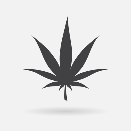 Marijuana icon. Cannabis icon vector. Marijuana leaf sign isolated on white background.のイラスト素材