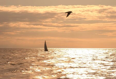 Gold seaの写真素材