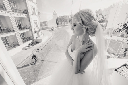 wonderful wedding day couple much happiness joy sun all in black and whiteの写真素材