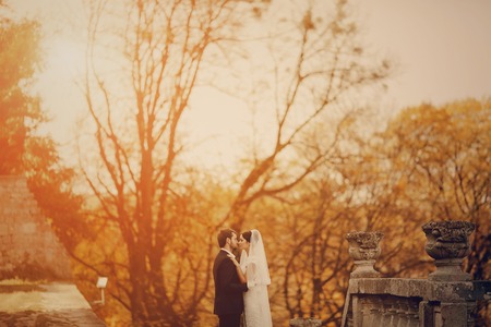 Happy couple whose wedding photo shoot in a golden autumnの写真素材