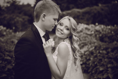 charming wedding elegant couples in elegant summer dress and wonderful weatherの写真素材