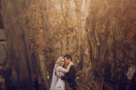 bride walking in golden autumn nature weddingの写真素材