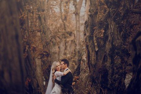 wedding day young couple with a brilliant golden autumnの写真素材