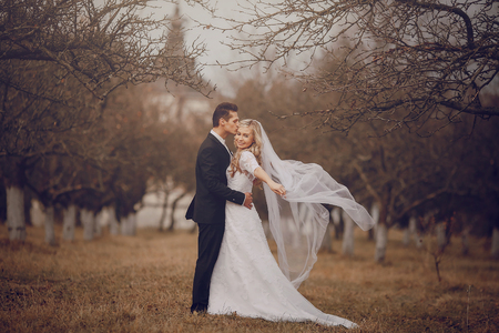 wedding day young couple with a brilliant golden autumnの写真素材