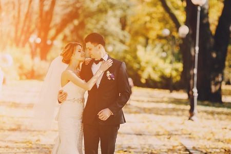 wonderful wedding on a sunny day beautiful coupleの写真素材