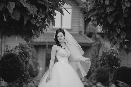beautiful summer wedding that took place in the old city with wonderful architectureの写真素材