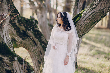 beautiful wedding couple celebrating their wedding day in autumnの写真素材