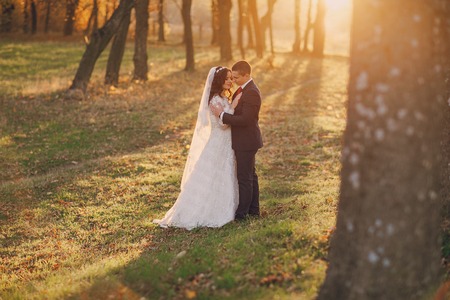 beautiful wedding couple celebrating their wedding day in autumnの写真素材