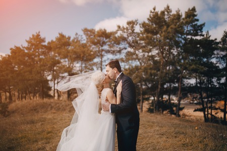 a wonderful couple walking the woods and the meadow on their wedding dayの写真素材
