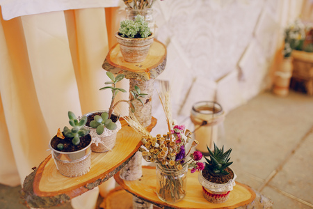 authentic wedding wonderful young couple with incredible sceneryの写真素材