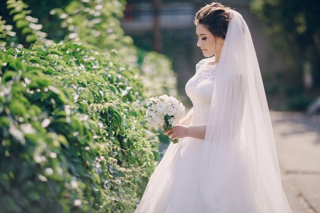 beautiful summer wedding that took place in the old city with wonderful architectureの写真素材