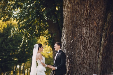 bride and groomの写真素材