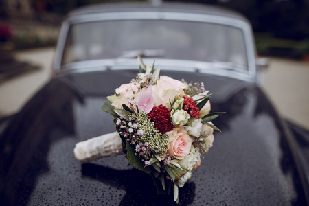 bride and groomの写真素材
