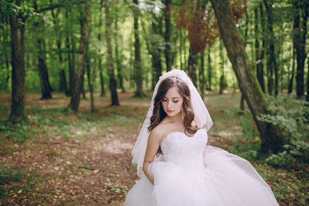 bride in the forestの写真素材