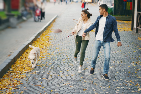 couple walking their dog on a sunny autumn dayの写真素材