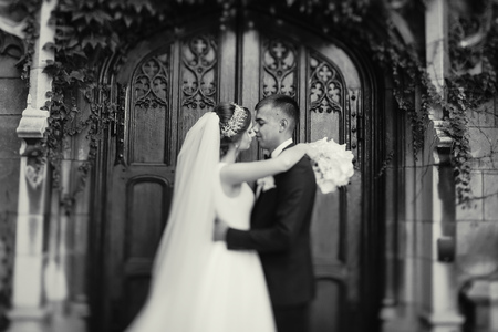 Beautiful wedding coupleの写真素材