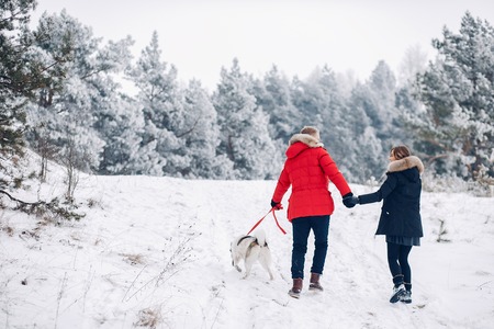 Beautiful couple playing with a dogの写真素材