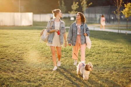Two girls wallking in a park with a little dogの写真素材