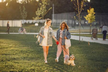 Two girls wallking in a park with a little dogの写真素材