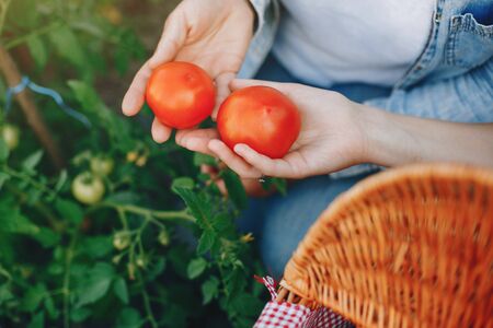 Women works in a garden. Mother with adult daughter near homeの写真素材