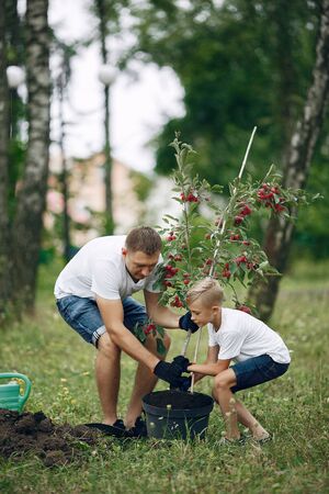 Father with little son are planting a tree on a yardの写真素材
