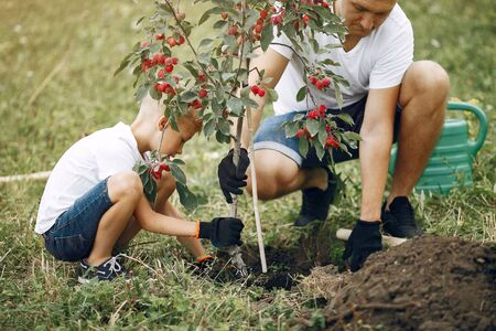Father with little son are planting a tree on a yardの写真素材