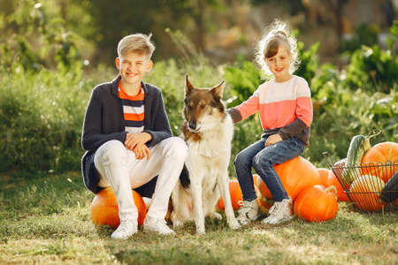 Cute childresn sitting on a garden near many pumpkinsの写真素材