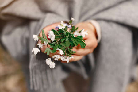 Adult woman in a spring forestの写真素材