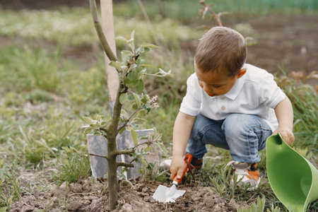 Cute little boy planting a tree on a parkの写真素材