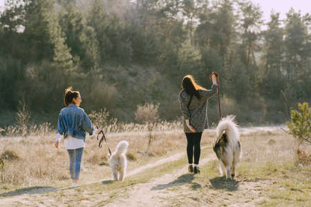 Two stylish girls in a spring field with a dogの写真素材