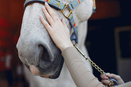 Beautiful woman standing with a horse