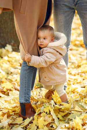 Family with little daughter in a autumn parkの写真素材