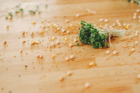 Heap of beet micro greens on table backgroundの写真素材