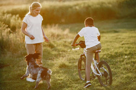 Multi-racial family playing in a summer parkの写真素材