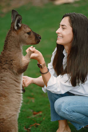 Woman in the reserve is playing with a kangarooの写真素材