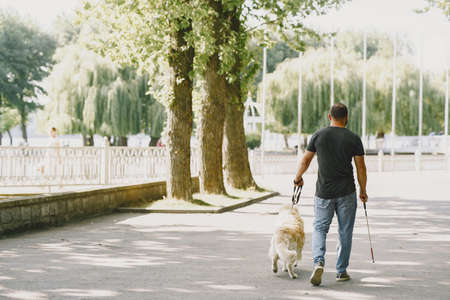 Blind man with guide dog in a summer cityの写真素材