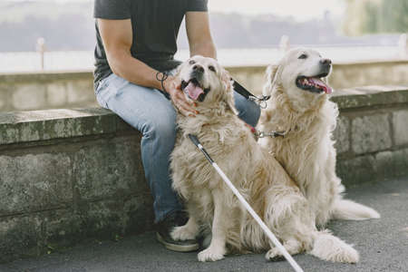 Blind man with guide dog in a summer cityの写真素材