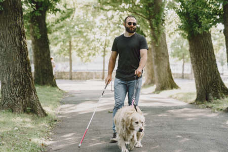 Blind man with guide dog in a summer cityの写真素材