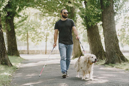 Blind man with guide dog in a summer cityの写真素材