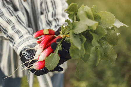 Portrait of senior man in a hat gardening with granddaugherの写真素材