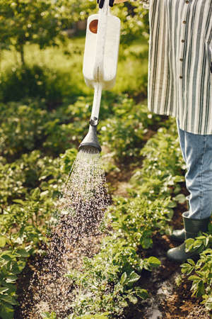 Woman in a hat holding funnel and works in a gardenの写真素材