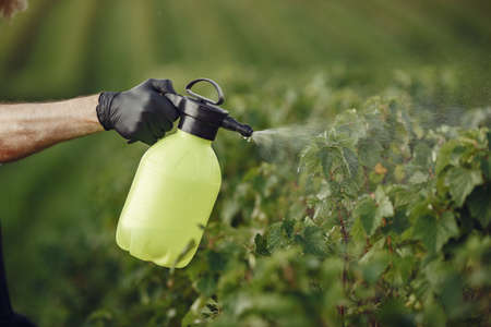 Senior man watering his plants in his garden with sprinkleの写真素材