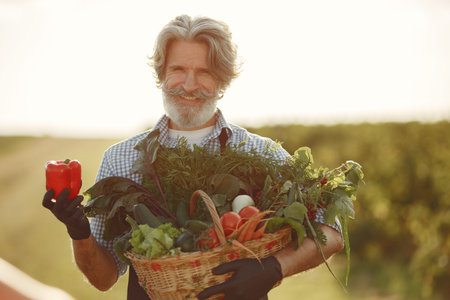 Senior with box vegetables garden background sunse